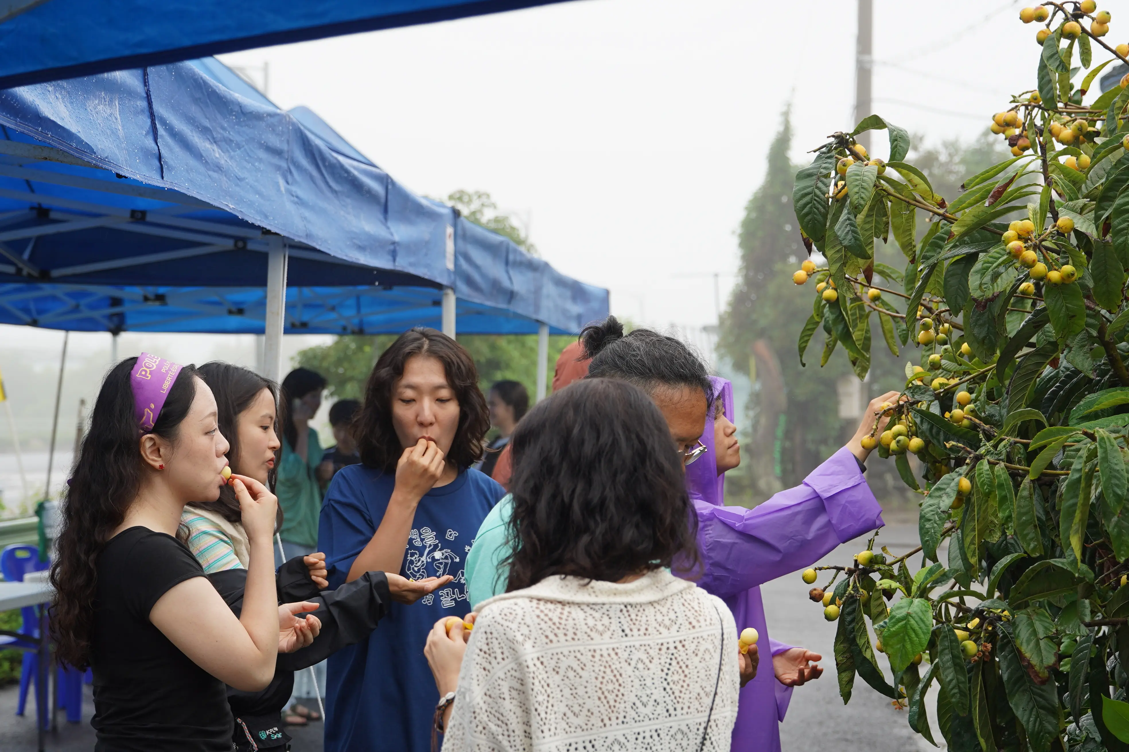 2025 2nd Gangjeong Peace Music Camp foto galeri 2
