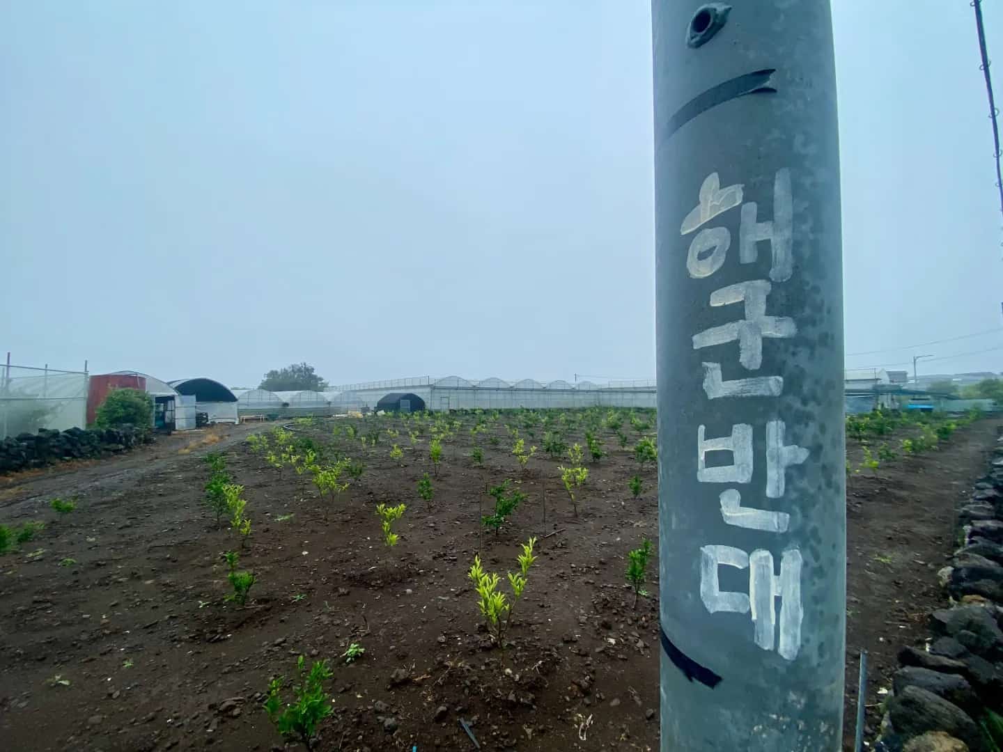 2025년 강정피스앤뮤직캠프 현장 사진