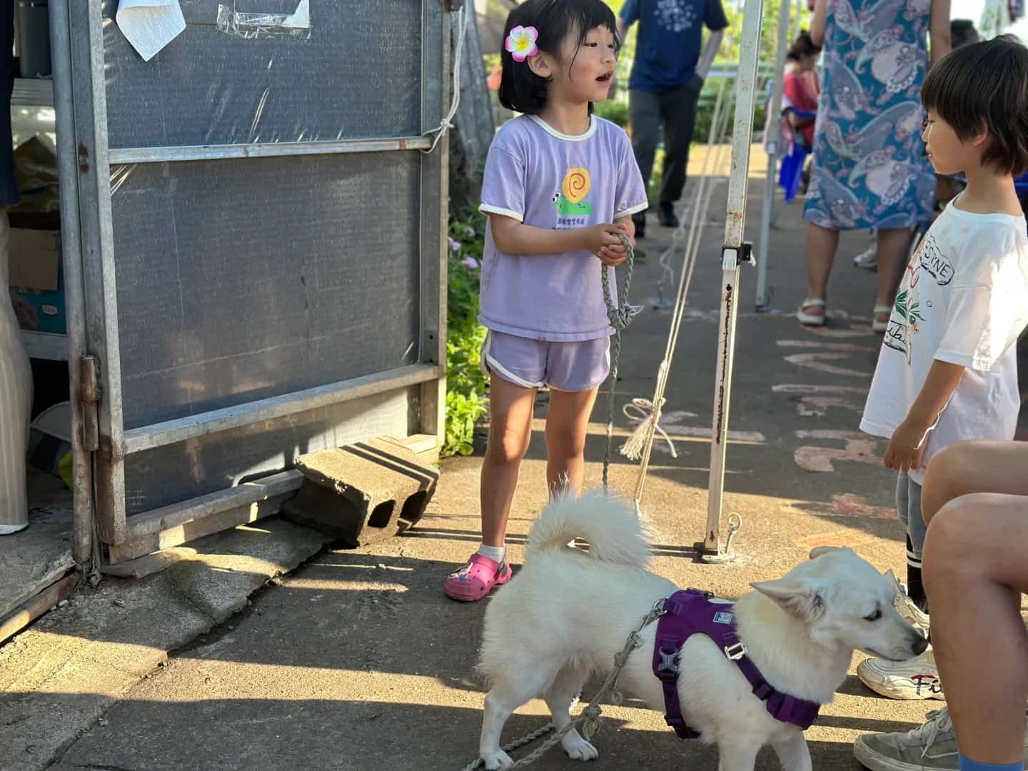 2025년 강정피스앤뮤직캠프 현장 사진